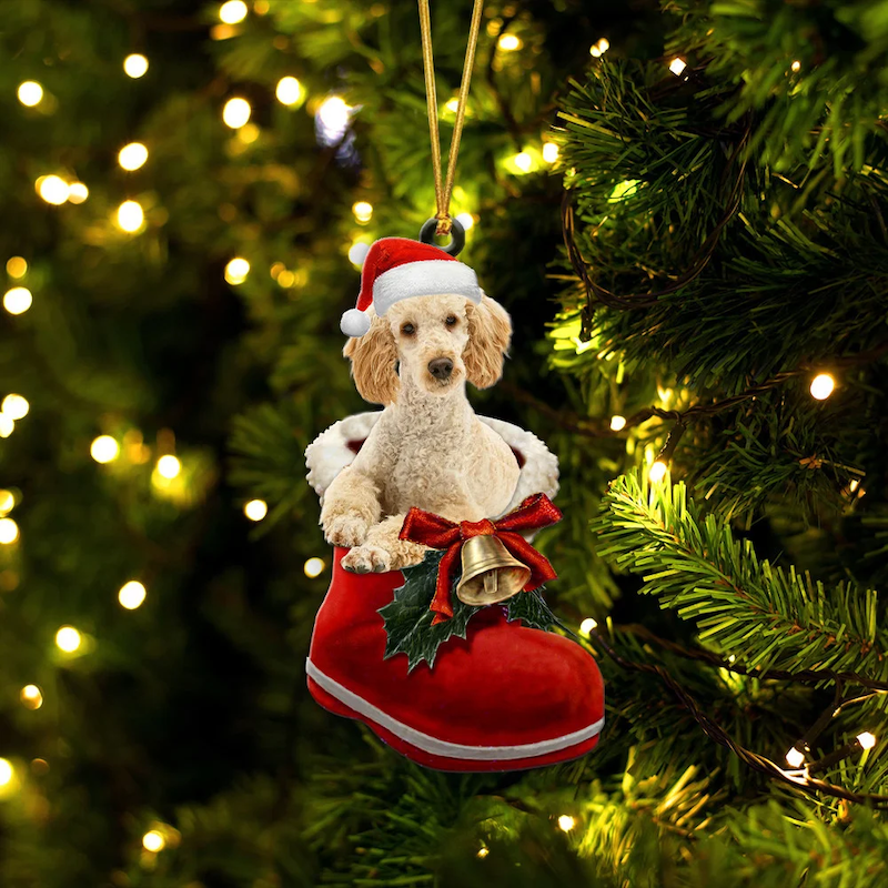 Poodle Apricot in Kerstschoen Ornament