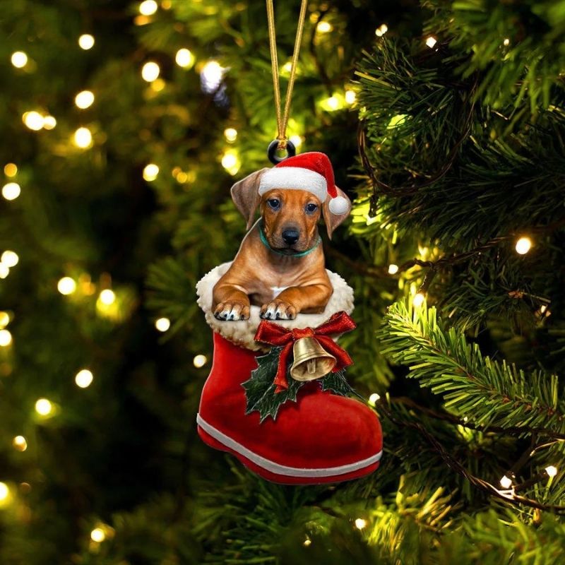 Rhodesian Ridgeback in Kerstschoen Ornament