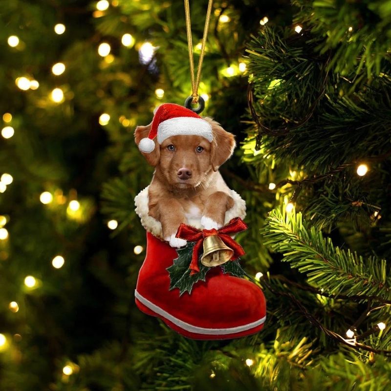 Nova Scotia Duck Tolling Retriever in Kerstschoen Ornament