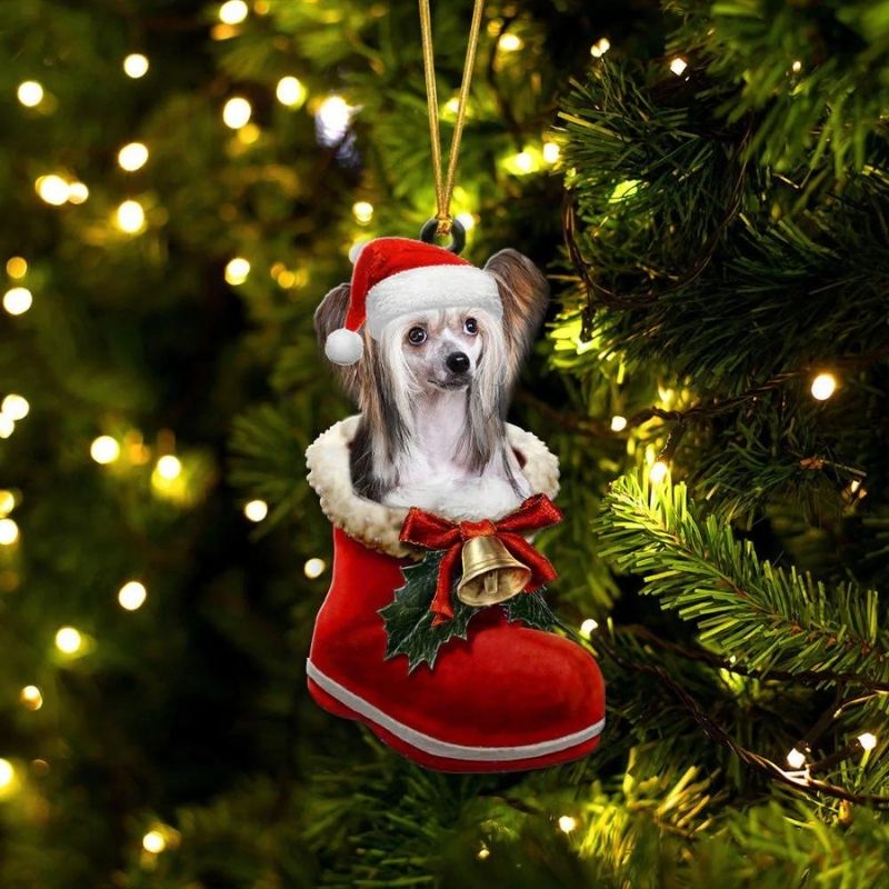 Chinese Crested in Kerstschoen Ornament