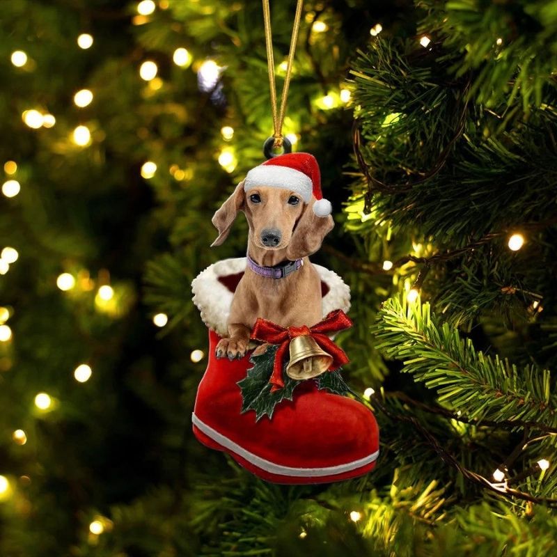 Dachshund teckel  in Kerstschoen Ornament