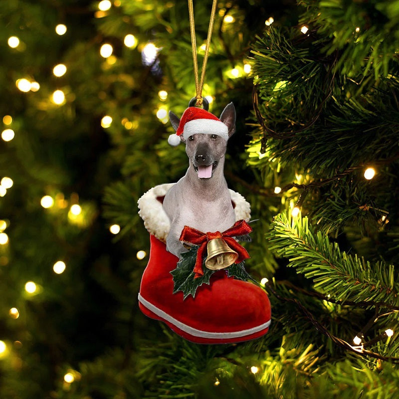 Xoloitzcuintli in Kerstschoen Ornament