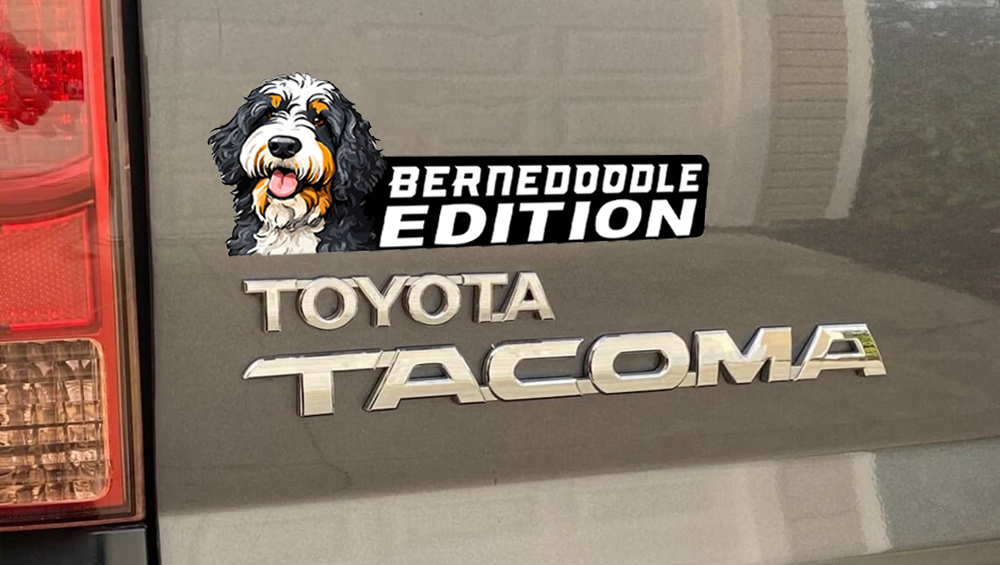 Bernedoodle Auto Badge Autoembleem