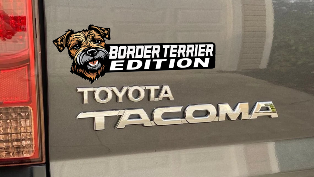 Border Terrier Auto Badge Autoembleem