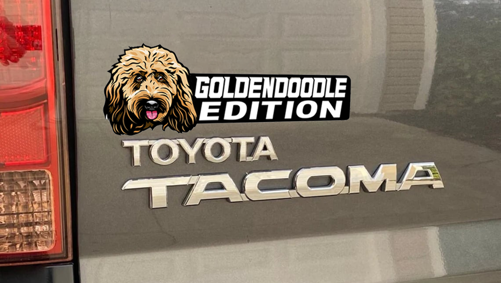 Goldendoodle Auto Badge Autoembleem