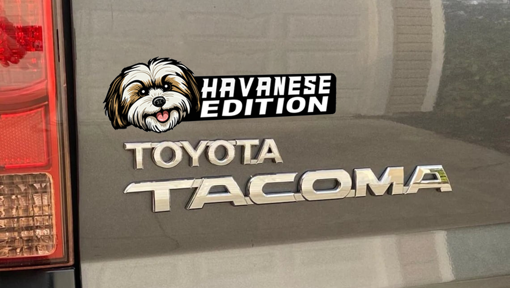 Havanese Auto Badge Autoembleem