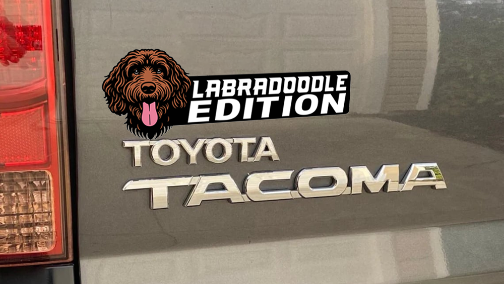 Labradoodle Auto Badge Autoembleem