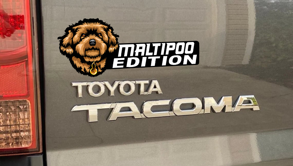 Maltipoo Auto Badge Autoembleem