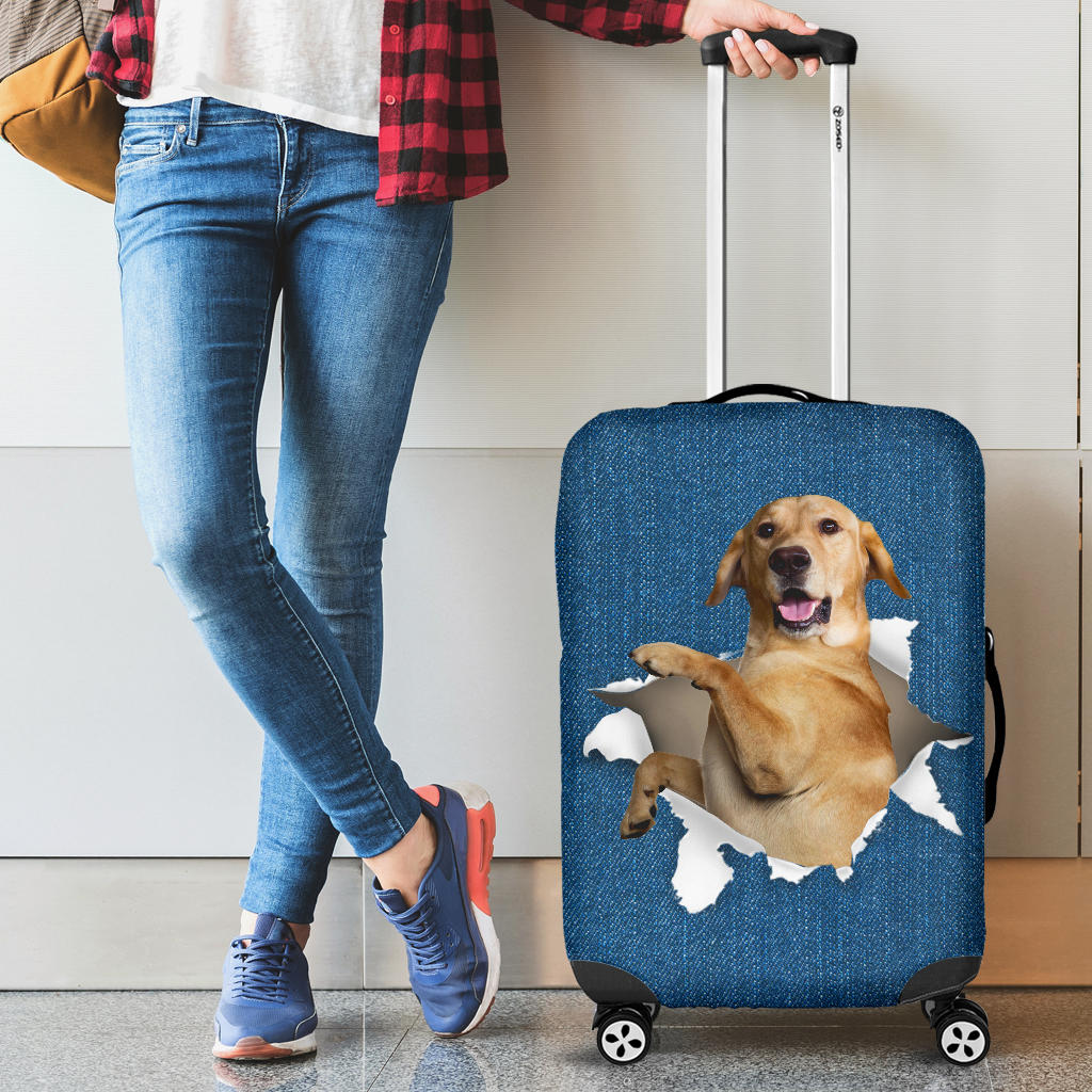 Labrador Retriever| Baggage