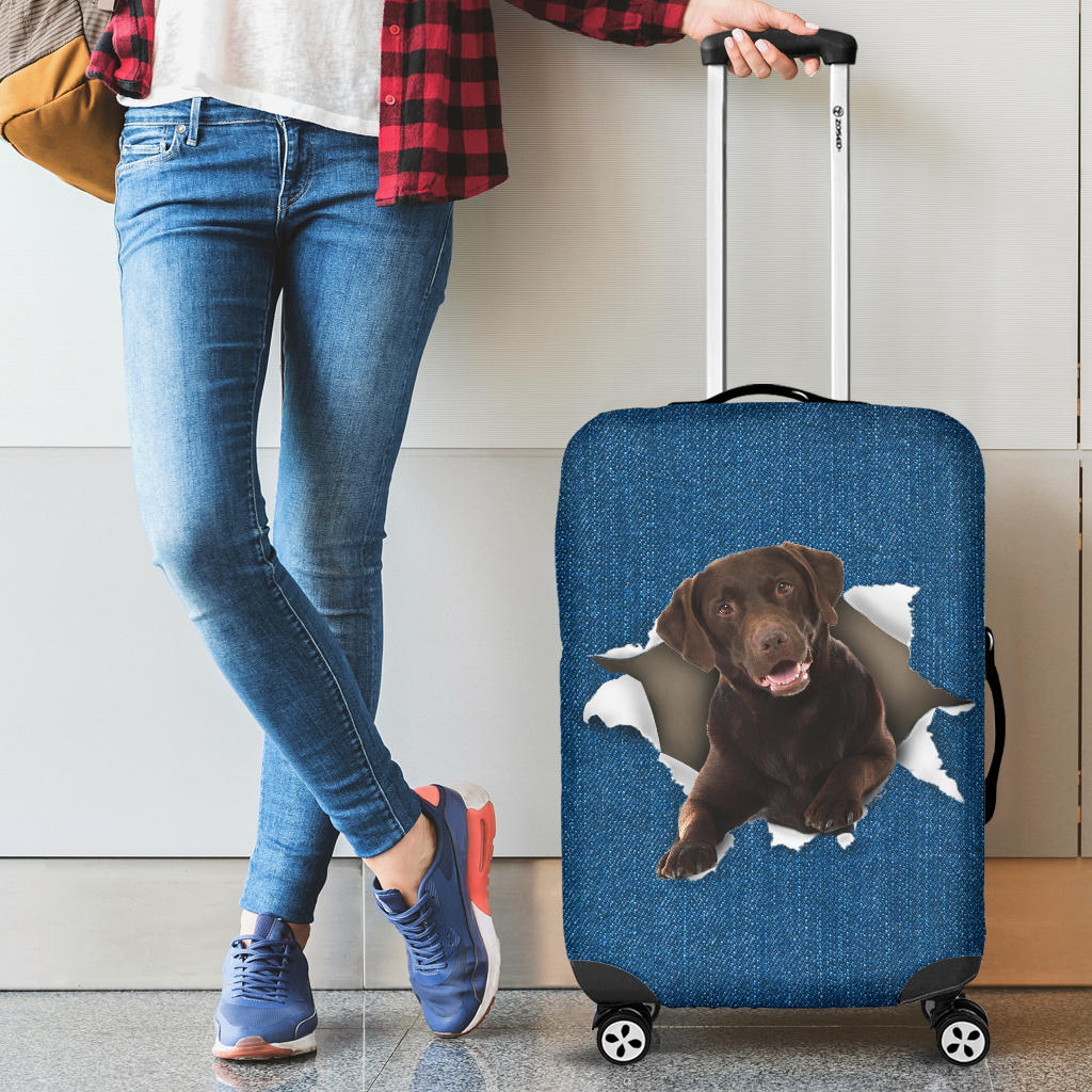 Labrador Retriever 3| Baggage