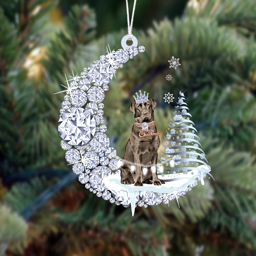 Labrador Retriever (8)op Diamand Maan Kerst Ornament