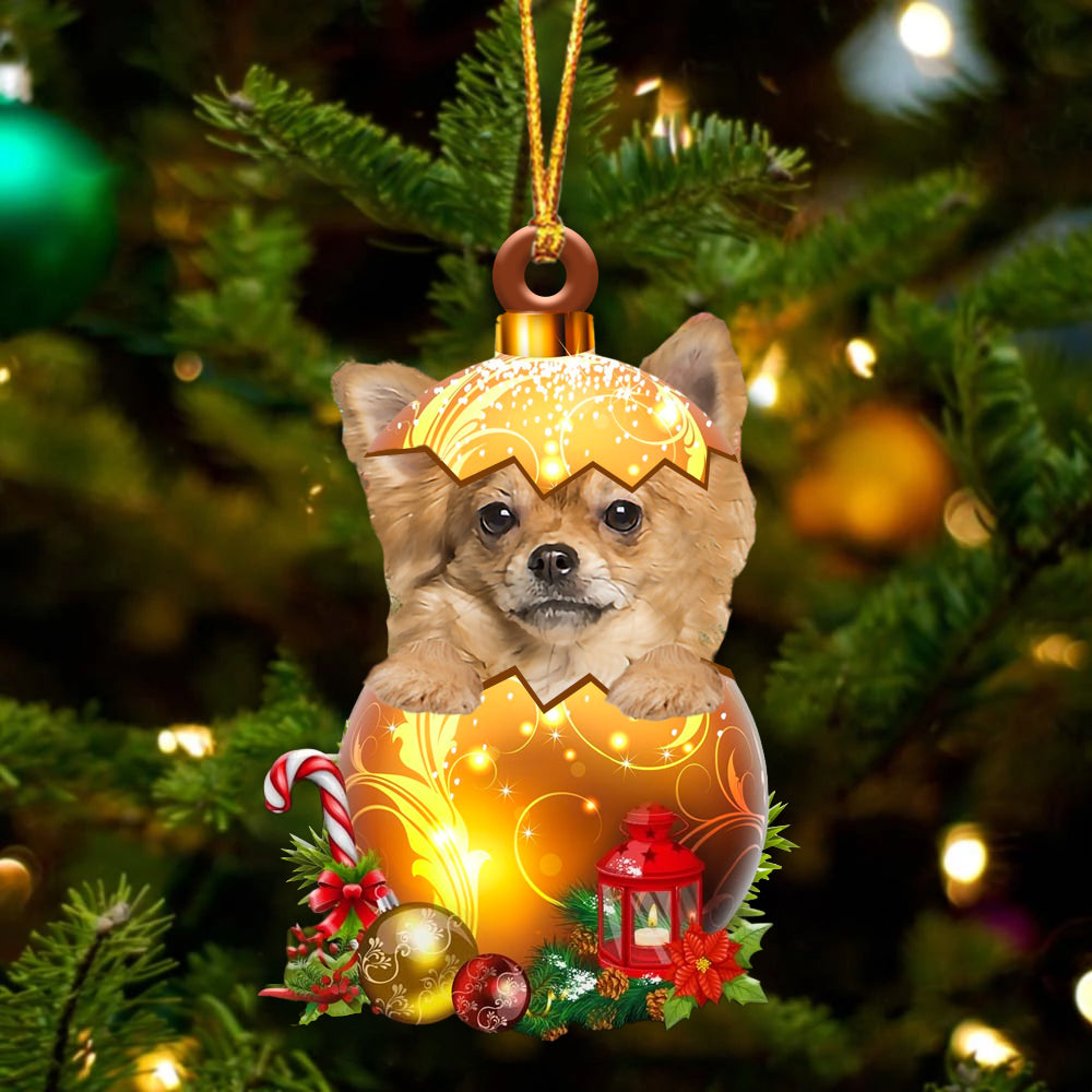 Long haired Tan Chihuahua. In Kerst Gouden Ei Ornament