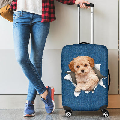 Maltipoo| Baggage