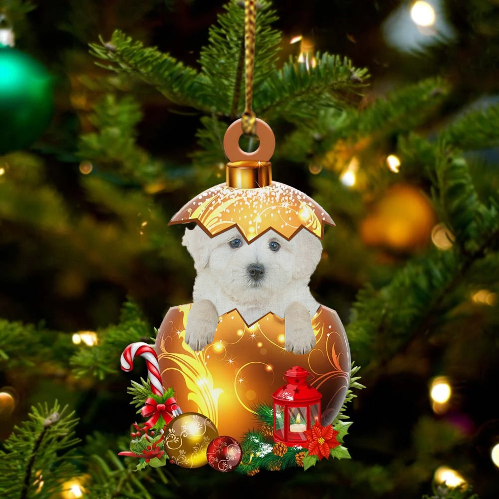 Maltipoo In Kerst Gouden Ei Ornament