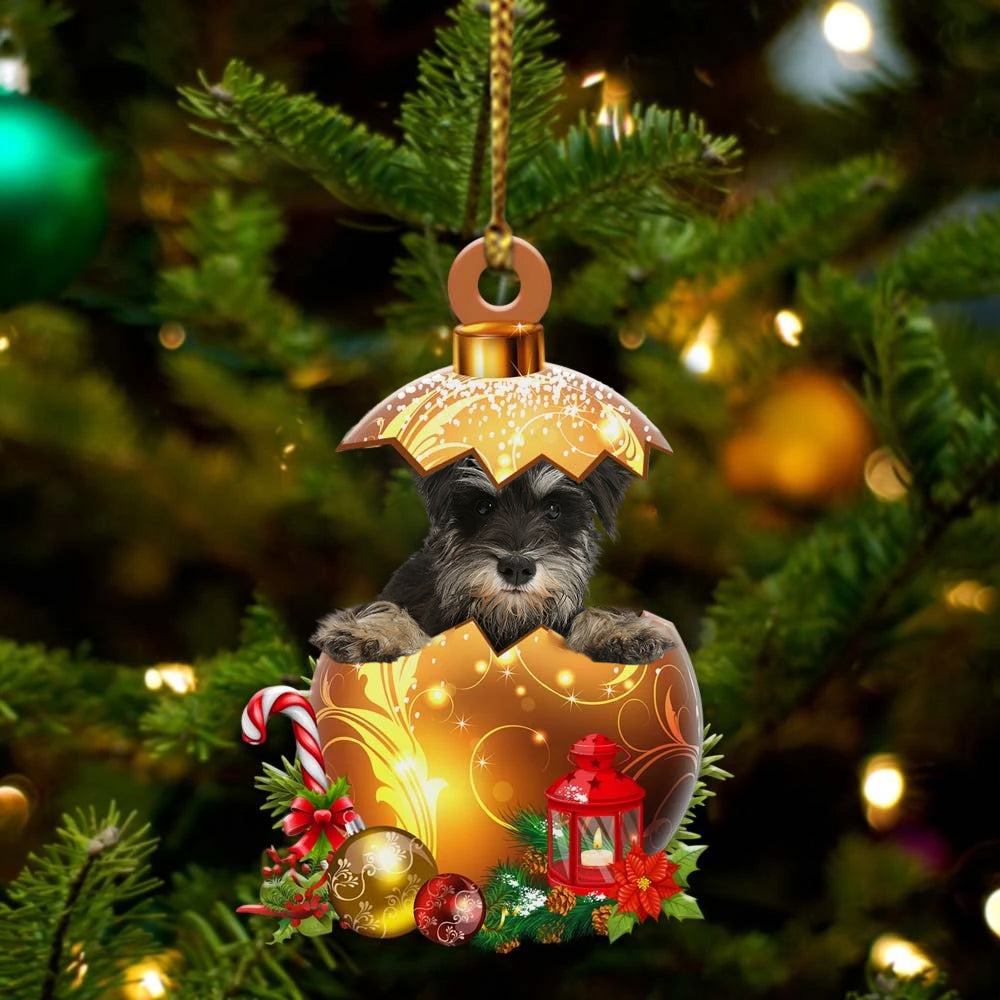 Miniature-Schnauzer In Kerst Gouden Ei Ornament