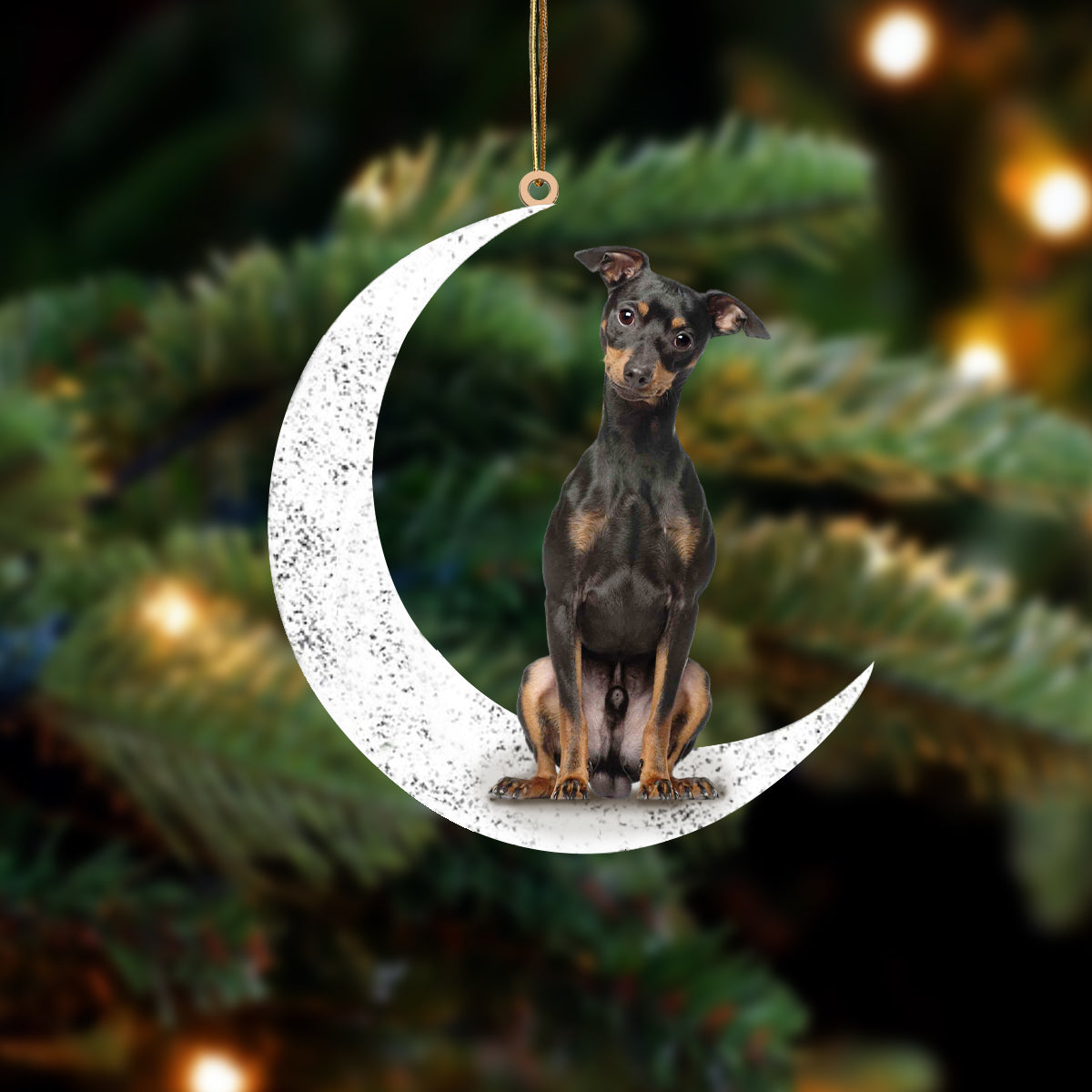 Miniature Pinscher 2 Zit op de Maan Ornament