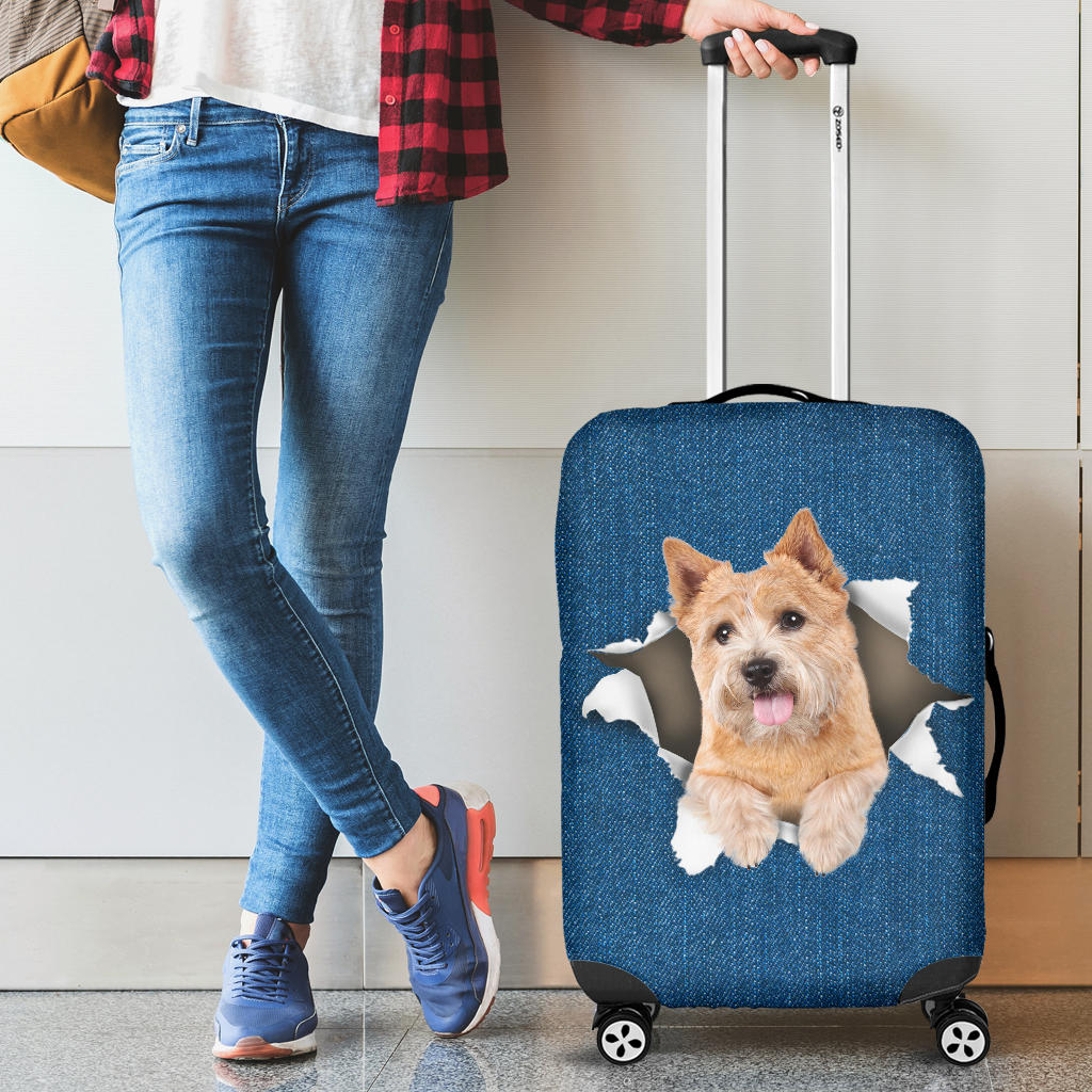 Norwich Terrier| Baggage