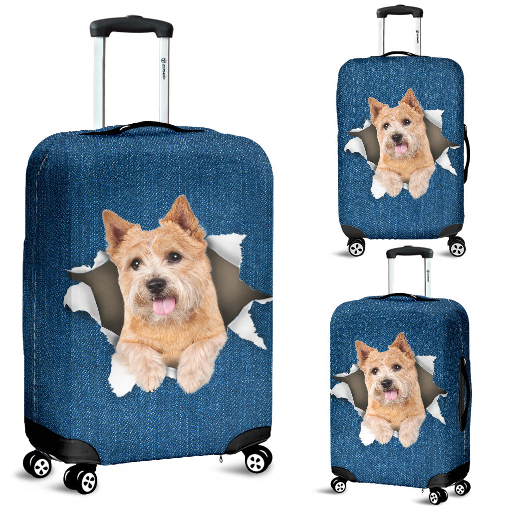 Norwich Terrier| Baggage