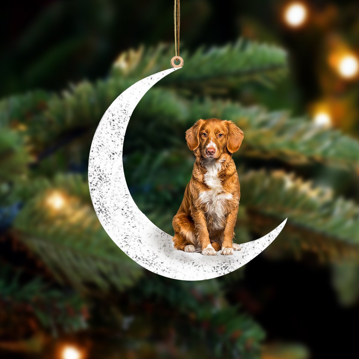 Nova Scotia Duck Tolling Retriever Zit op de Maan Ornament