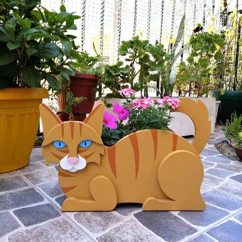 Oranje Kat Planter