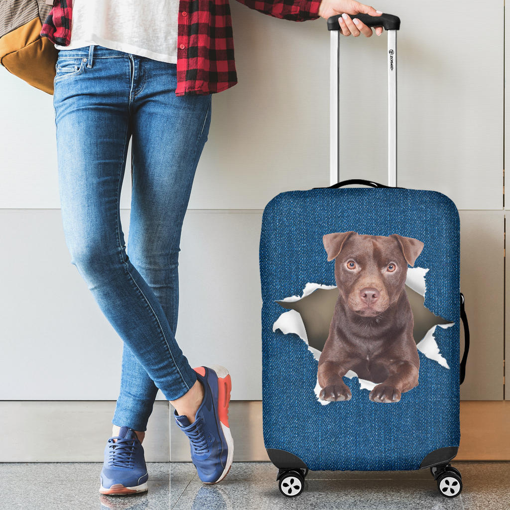 Patterdale Terrier| Baggage