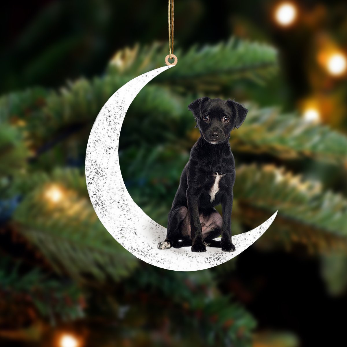 Patterdale Terrier Zit op de Maan Ornament