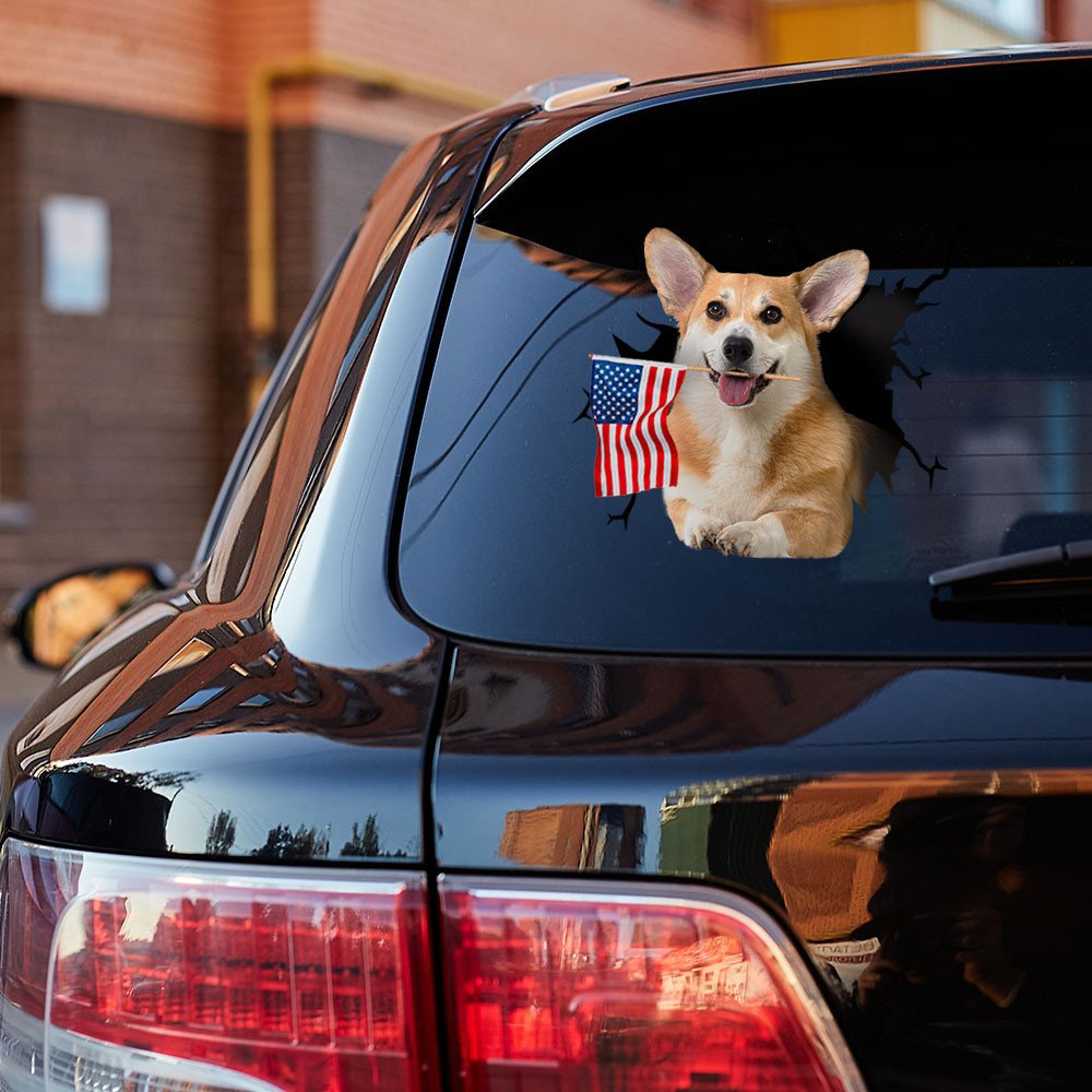 Pembroke Welsh Corgi