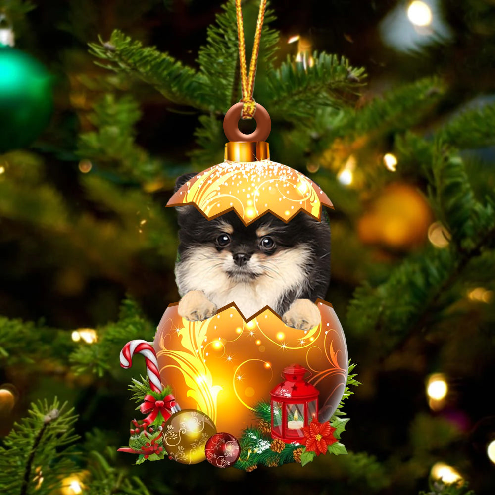 Pomeranian In Kerst Gouden Ei Ornament