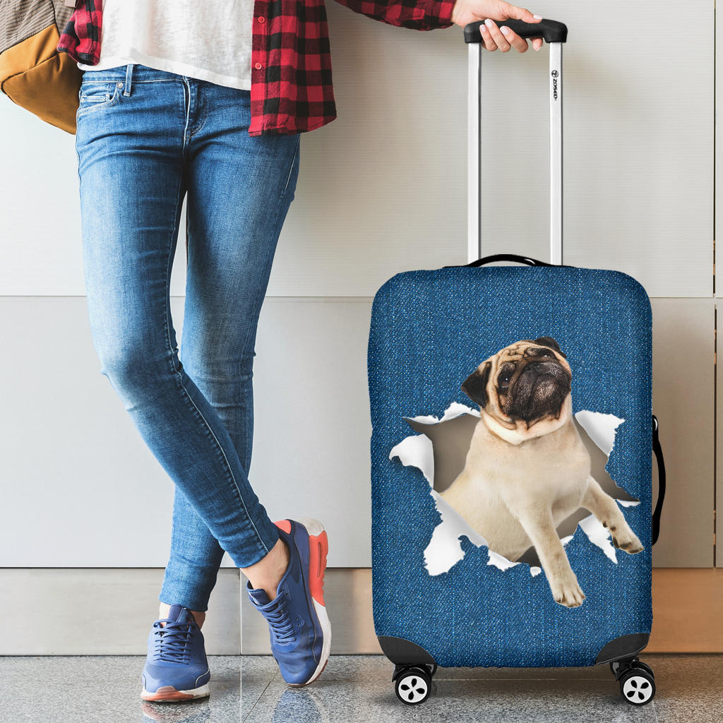 Pug2| Baggage