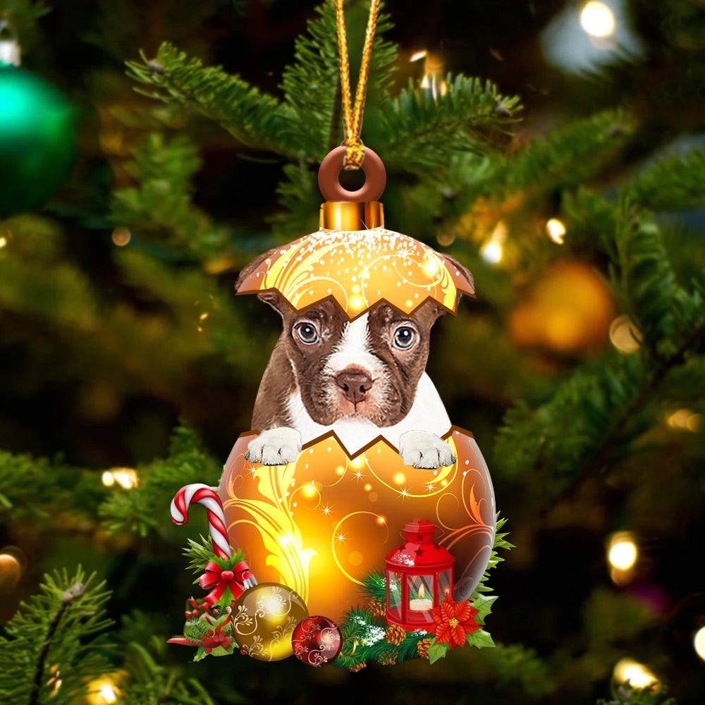 RED Boston Terrier In Kerst Gouden Ei Ornament