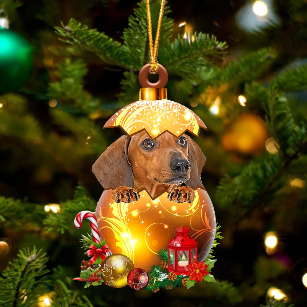 RED Dachshund In Kerst Gouden Ei Ornament