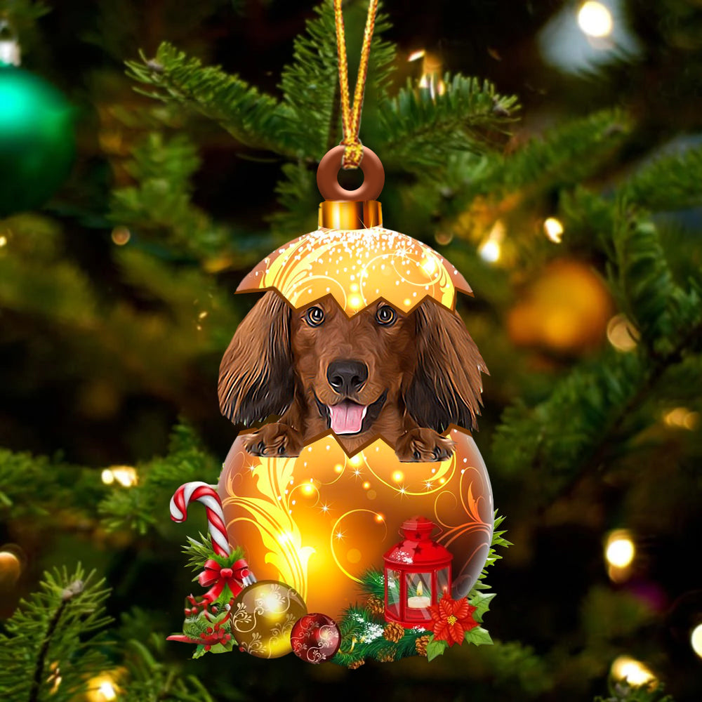 RED LONG HAIRED Dachshund In Kerst Gouden Ei Ornament