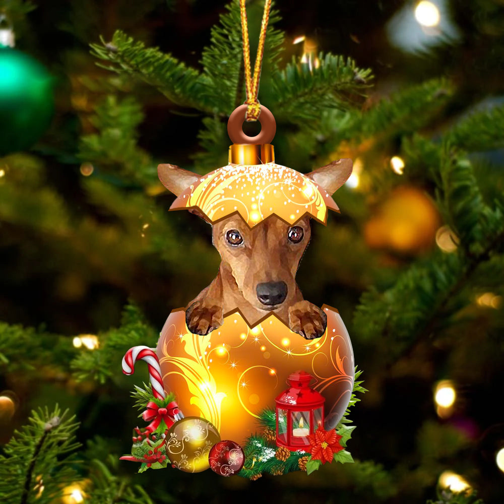 RED Miniature Pinscher In Kerst Gouden Ei Ornament