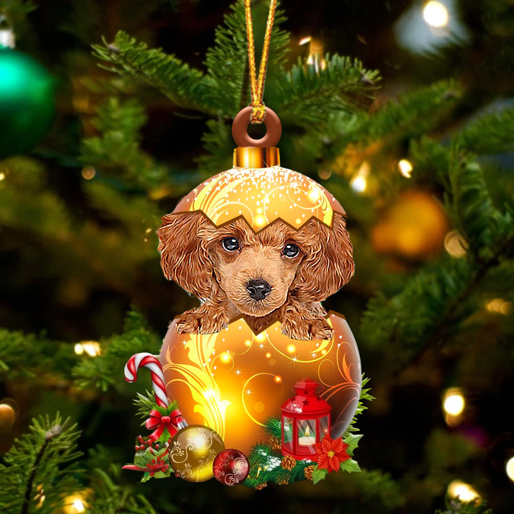 RED Toy Poodle In Kerst Gouden Ei Ornament