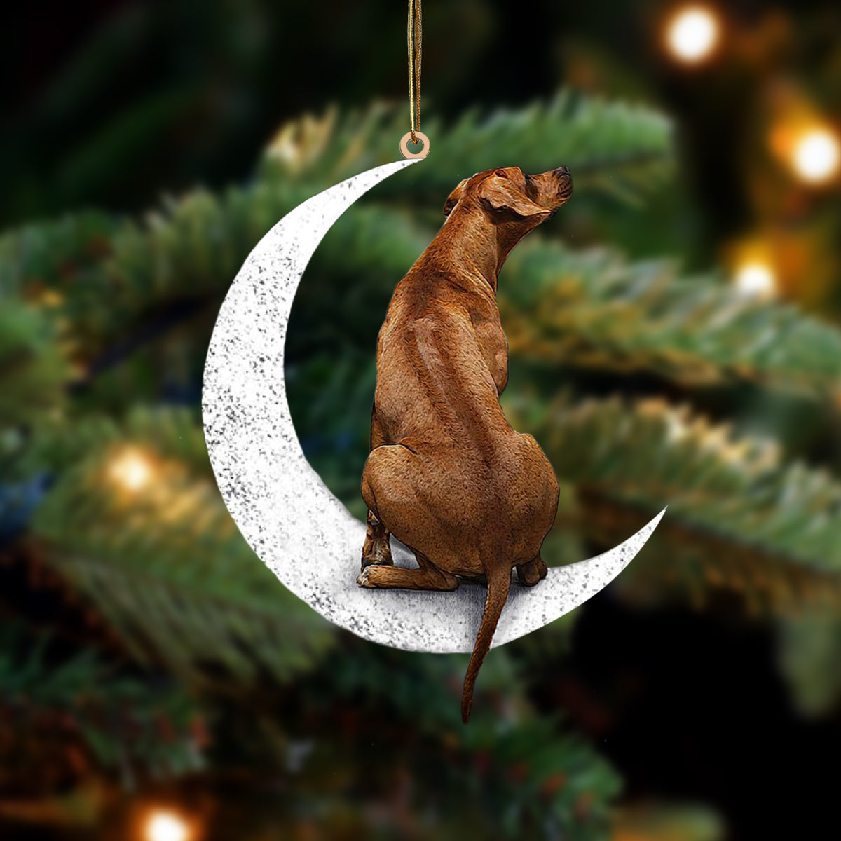 Rhodesian Ridgeback Zit op de Maan Ornament