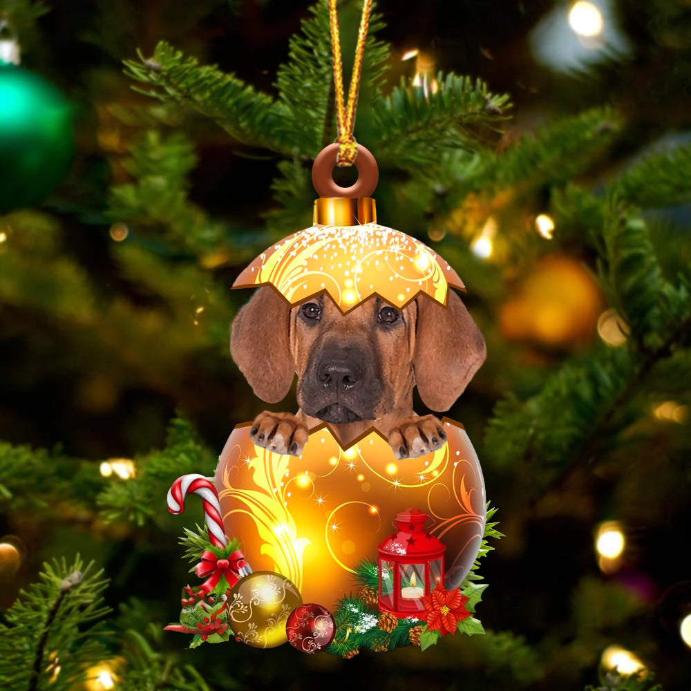 Rhodesian Ridgeback In Kerst Gouden Ei Ornament