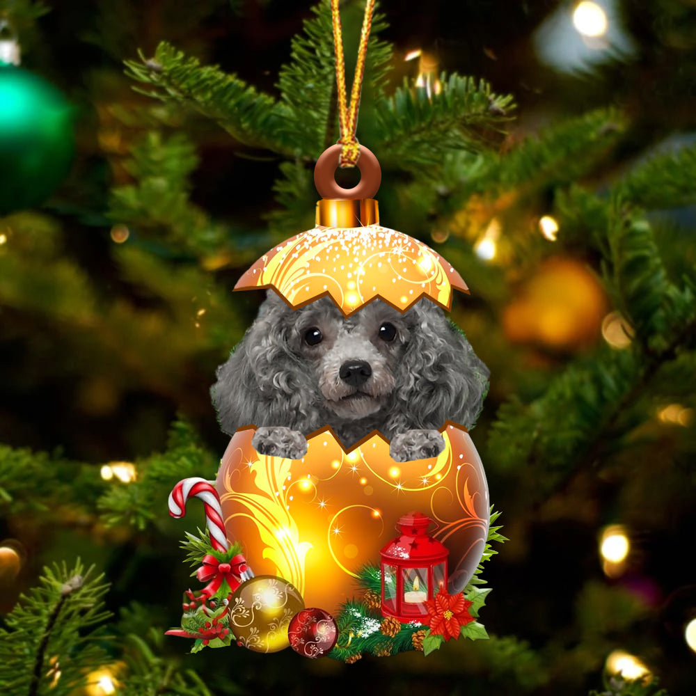 Zilver Miniature Poodle In Kerst Gouden Ei Ornament