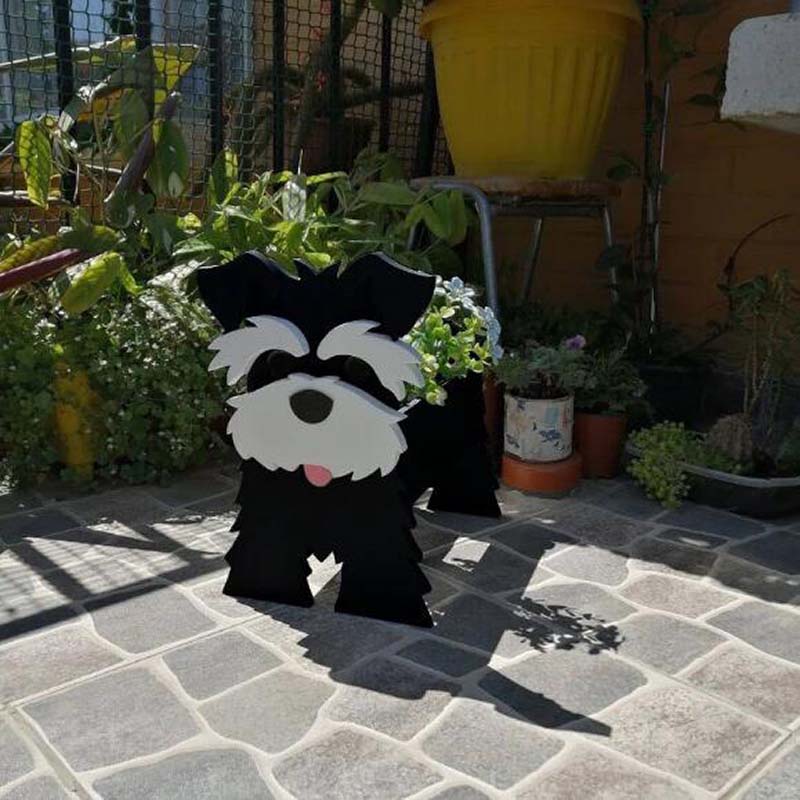 Zwarte Schnauzer Planter