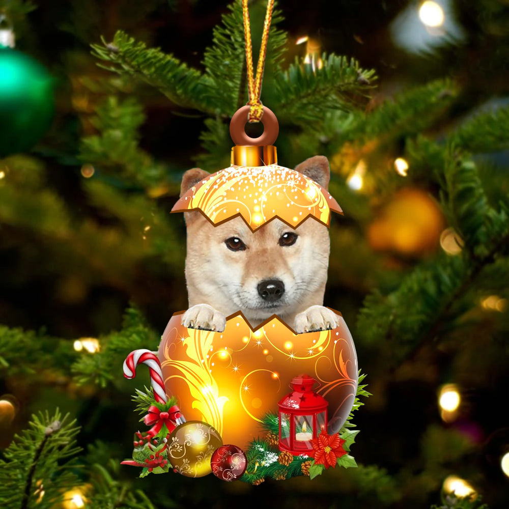 Shiba Inu2 In Kerst Gouden Ei Ornament