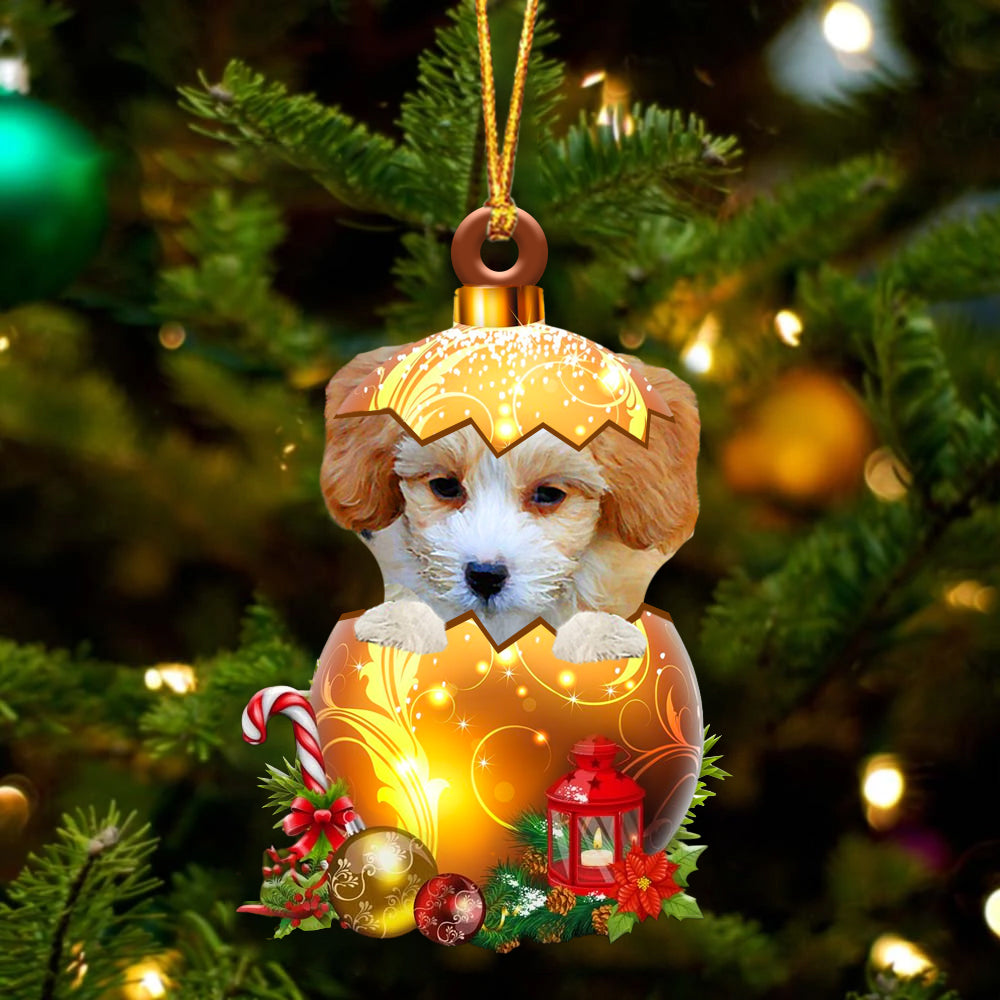 Shih Poo In Kerst Gouden Ei Ornament