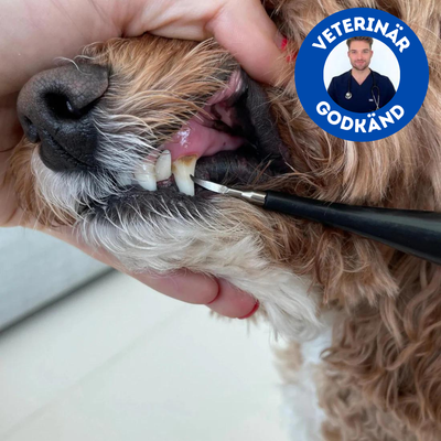 🔥( Laatste dag 70% KORTING )🔥Ultrasone tandenreiniger voor honden