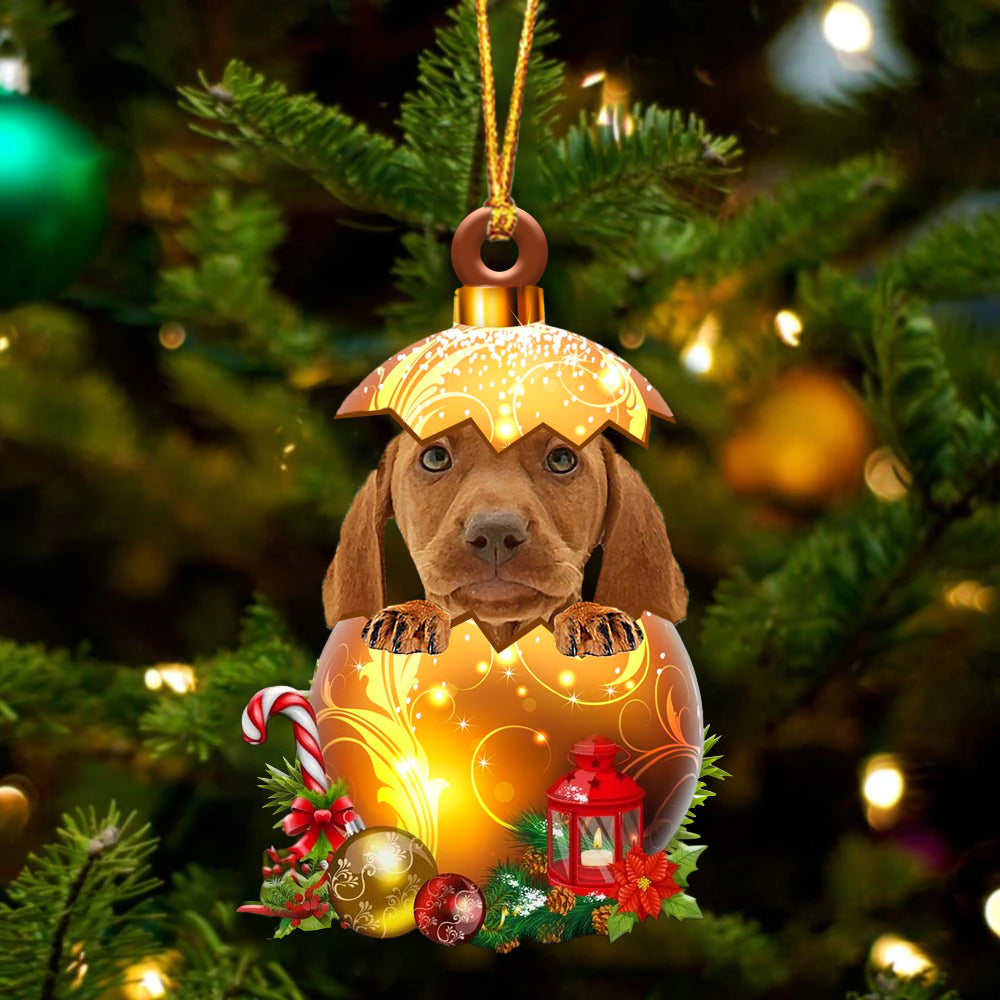 Vizsla In Kerst Gouden Ei Ornament