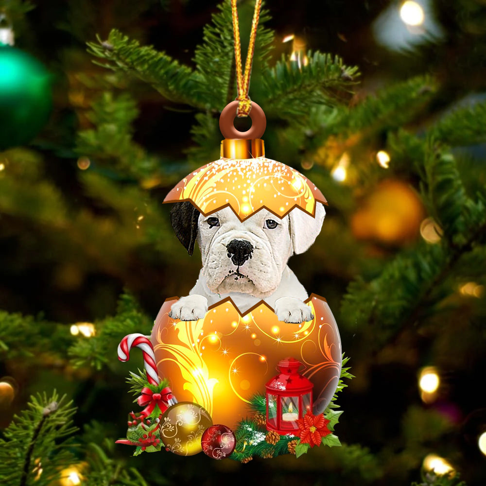 Wit Boxer In Kerst Gouden Ei Ornament