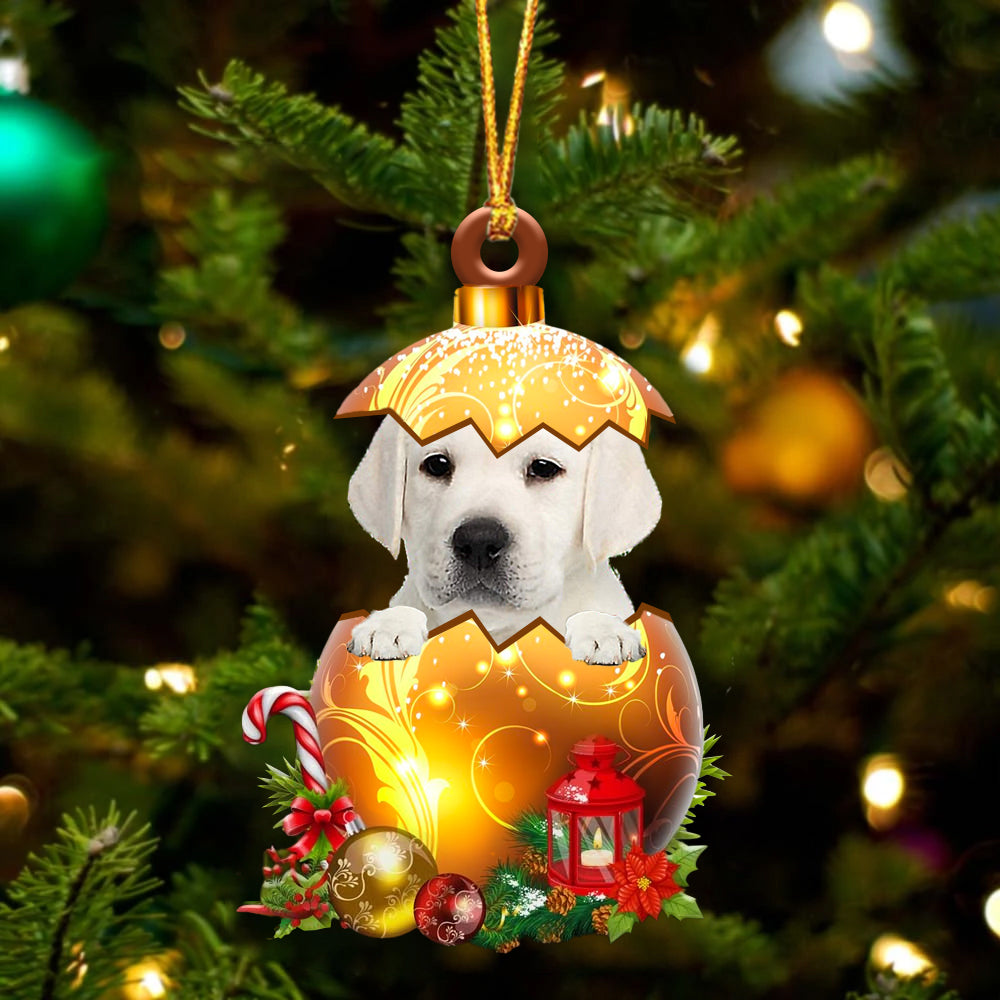 Wit Labrador In Kerst Gouden Ei Ornament