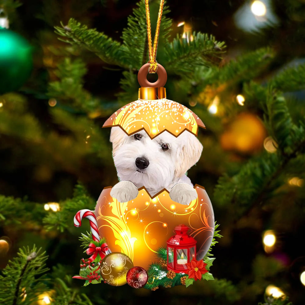 Wit Maltipoo In Kerst Gouden Ei Ornament