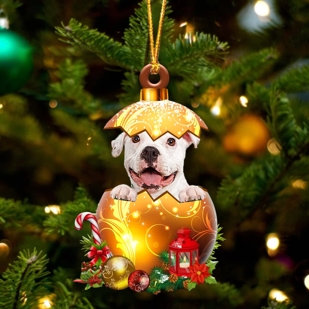 Wit Pitbull In Kerst Gouden Ei Ornament