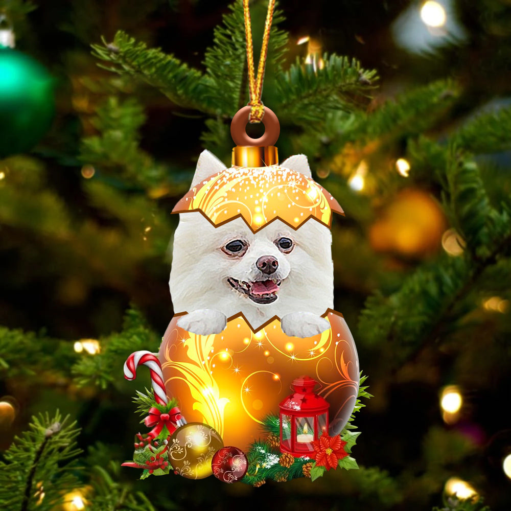 Wit Pomeranian In Kerst Gouden Ei Ornament