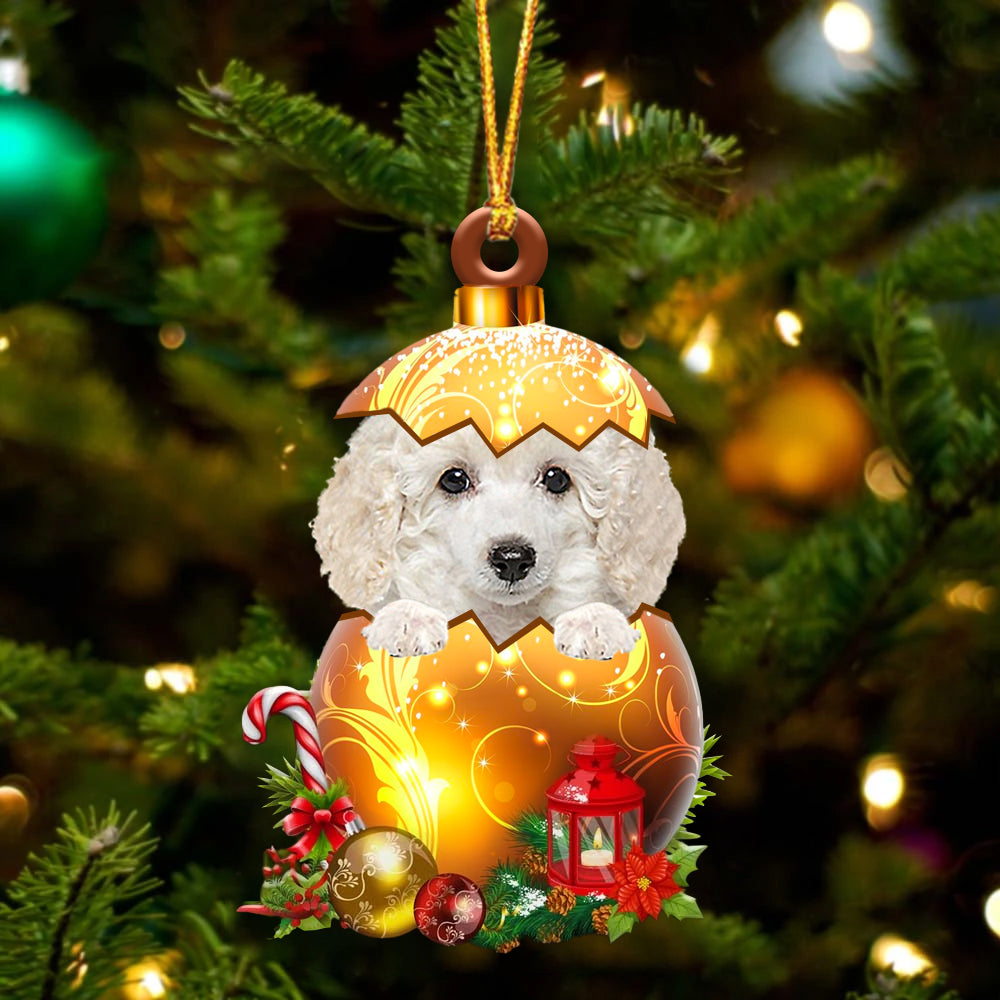 Wit Toy Poodle In Kerst Gouden Ei Ornament