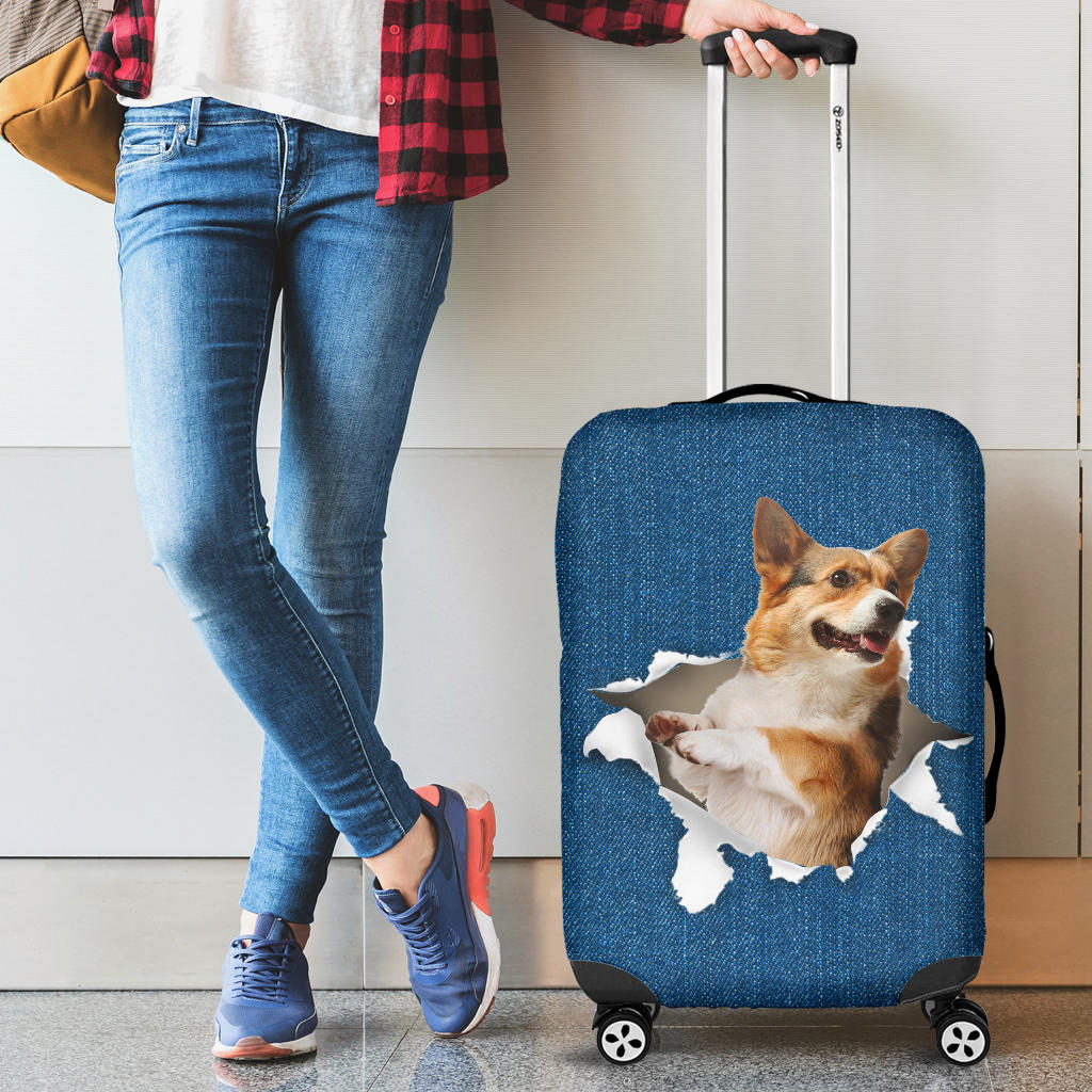 Welsh Corgi 3| Baggage