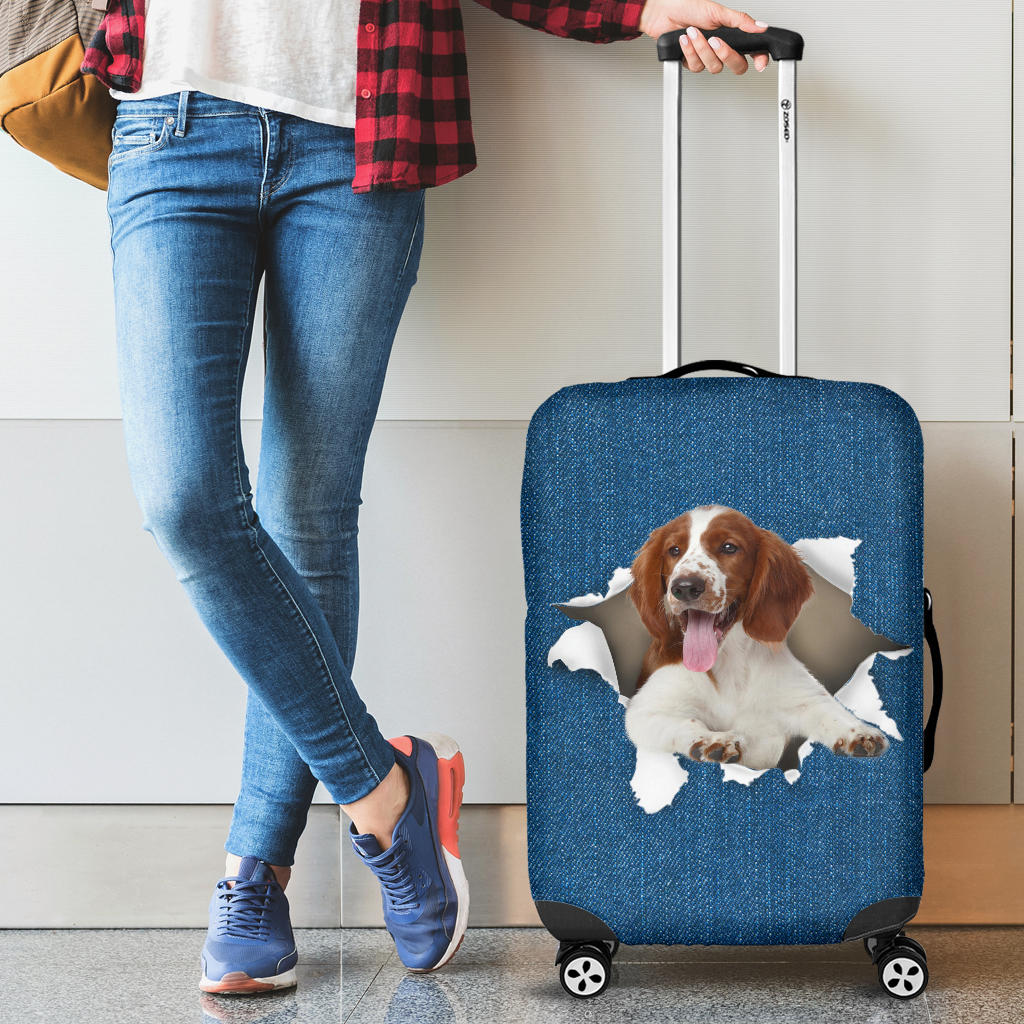 Welsh Springer Spaniel| Baggage